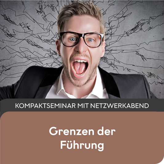 Grenzen der Führung