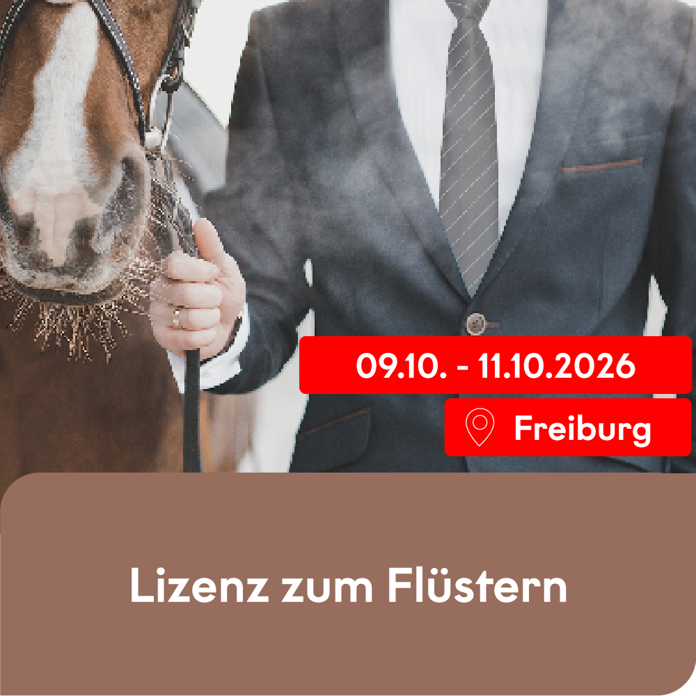 Lizenz zum Flüstern (Oktober2026)